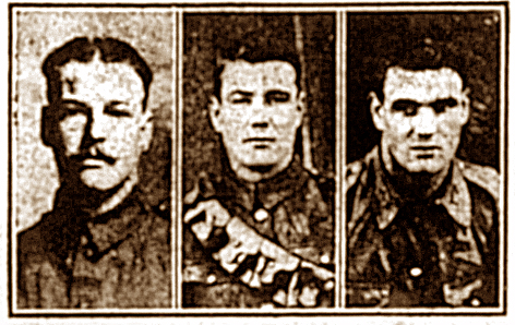 Taylor brothers
