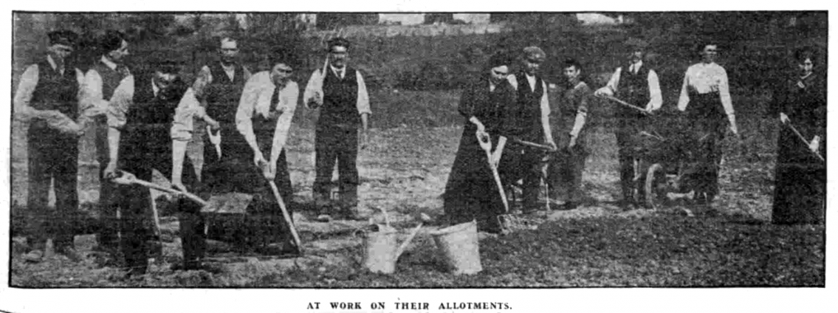 Belgian refugees