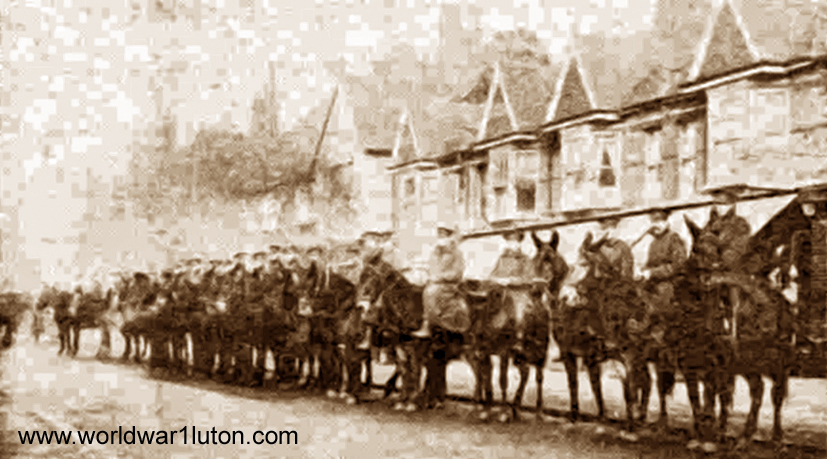 Army mules in Luton