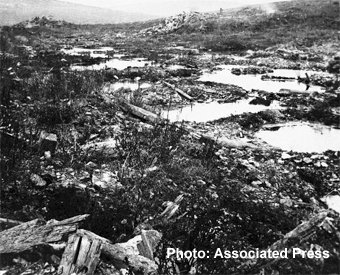 1917 battlefield